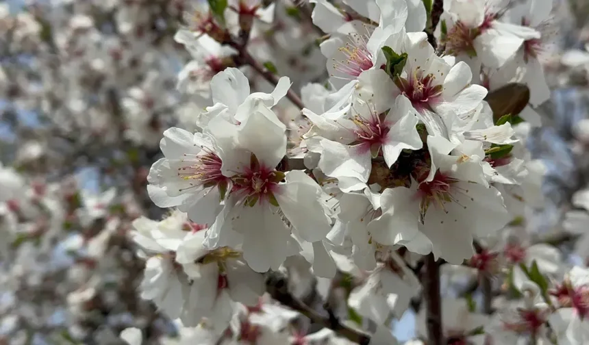 Çocuk alerji hastalıklarında doğru tanı ve etkin tedavi önemli