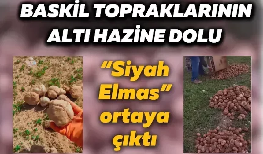 Baskil topraklarının altı hazine dolu: “Siyah Elmas” ortaya çıktı