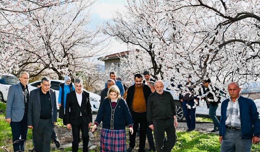 Ölmeztoprak müjdeyi verdi: Kayısı ödemeleri yatıyor