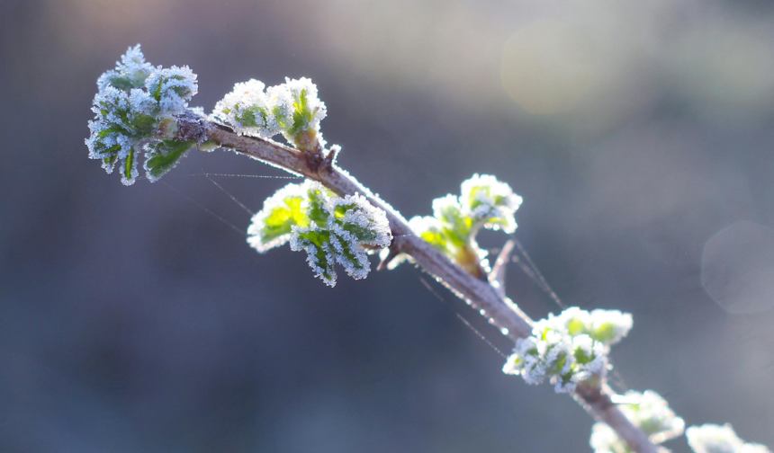 Meteoroloji’den Malatya’ya son dakika: 13 ilçe için 'dondurucu' rapor!