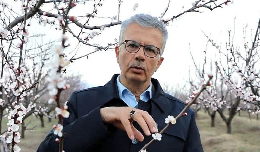 Kayısıda don alarmı: -3 dereceye dikkat!