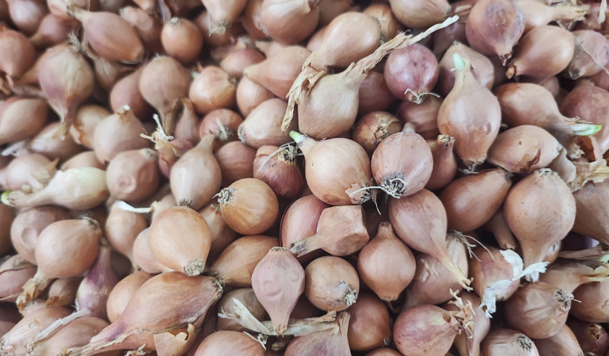 Çuvalla alınan kıska artık gramla! Malatya’da fiyat şoku!