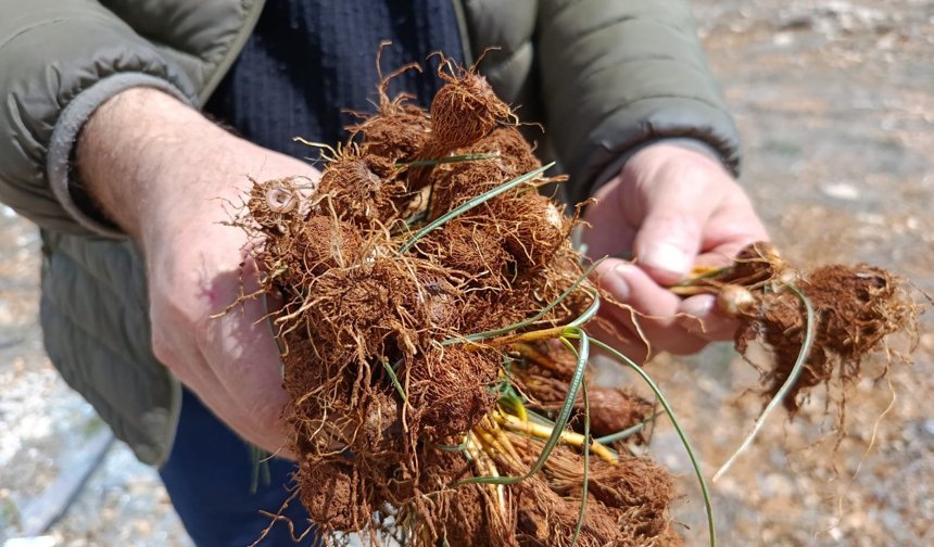 Darende ilçesinde zorlu mesai başladı