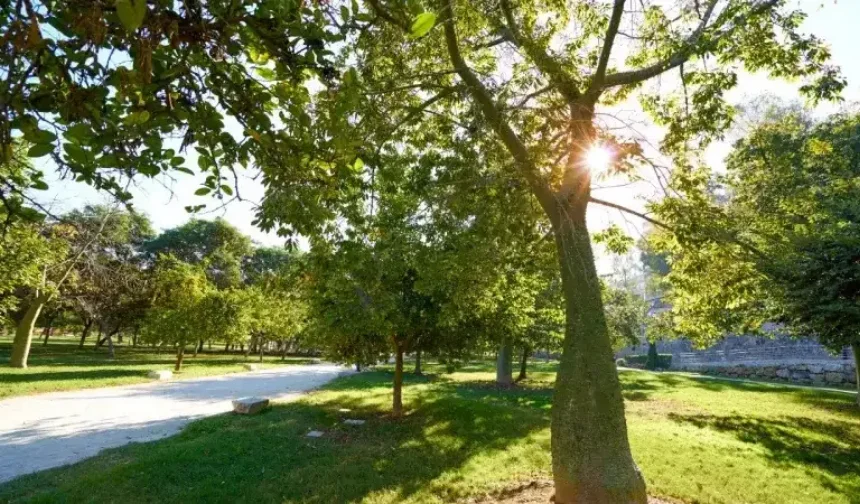 Çöşnük’e millet bahçesi, Zafer Mahallesi’ne 100 araçlık otopark