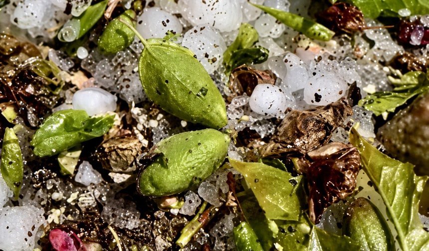 Malatya’nın 6 ilçesinde dolu darbesi: Rekolte tehlikede mi?