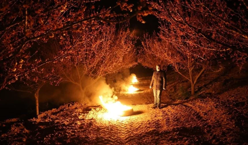 Kayısıyı don vurmasın diye sabaha kadar nöbet tuttular