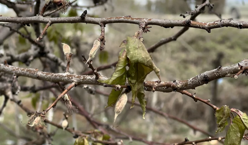 Malatya Valiliğinden üzen açıklama! 14 Nisan’a kadar sürecek