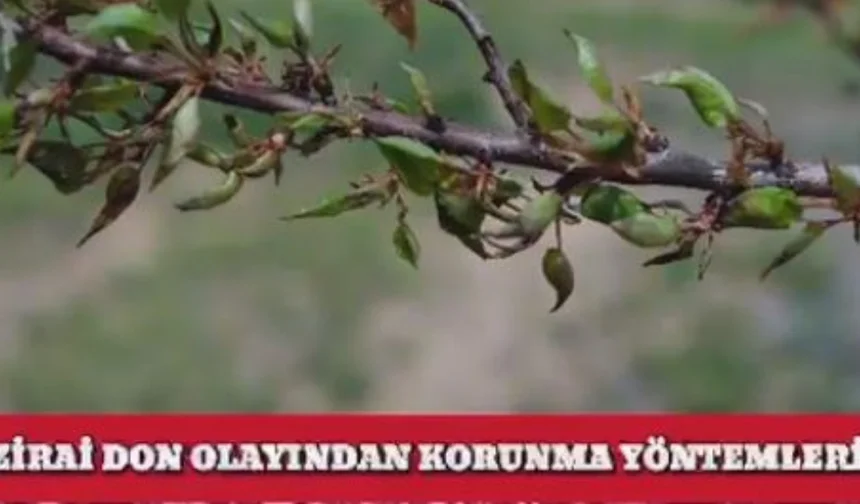 Malatya Valiliğinden zirai don alarmı: Gerekli önlemler alınmalı