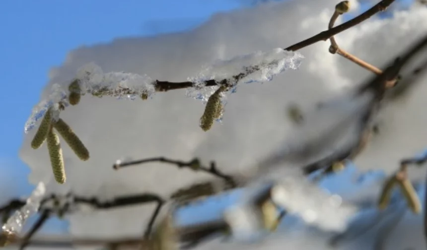 Meteoroloji’den Arapgir, Arguvan, Darende, Doğanşehir, Hekimhan, Kuluncak, Pütürge için kritik uyarı!