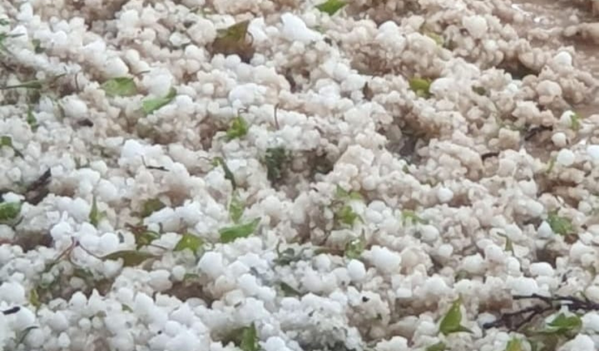 Malatya'da dolu yağışı tarımı vurdu: Çok sayıda ilçe etkilendi