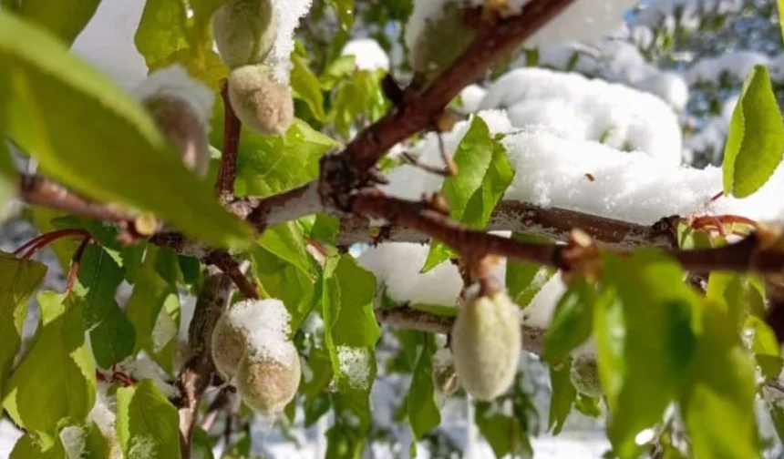 Yine 11 Nisan yine kar! Malatya’da felaket tekerrür mü ediyor?