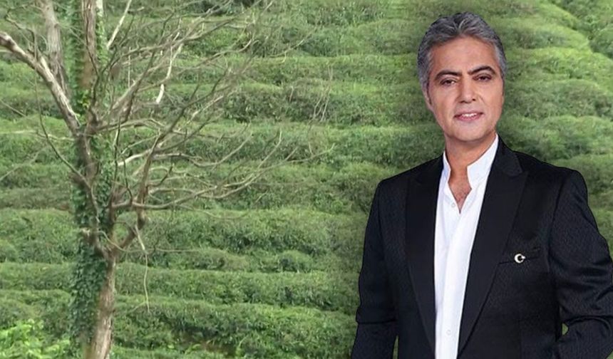 Cengiz Kurtoğlu Emekli Mi Oluyor? Usta Sanatçının Artvin Arhavi'deki Köy Evi Gündem Oldu!