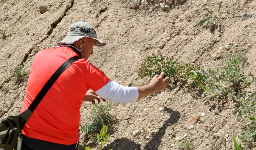 Darende’nin kayıp hazinesi gün yüzüne çıkıyor! Kimse bu kadarını beklemiyordu