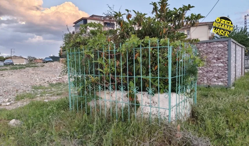 Malatya’da Melekbaba skandalı: Sözler unutuldu, koskoca mahallenin "Babası" harabeye terkedildi!