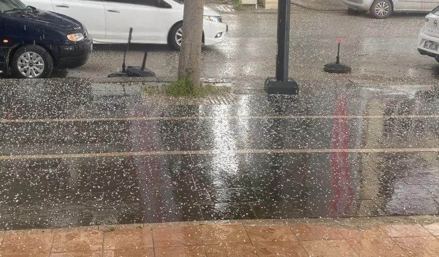 Malatya'da tam 'sedir' zamanı dolu vurdu!