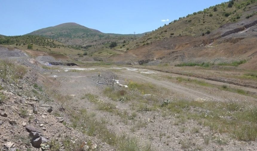 Dünya kayısı merkezinde su çığlığı: Battalgazi üreticisi Ankara'ya seslendi!