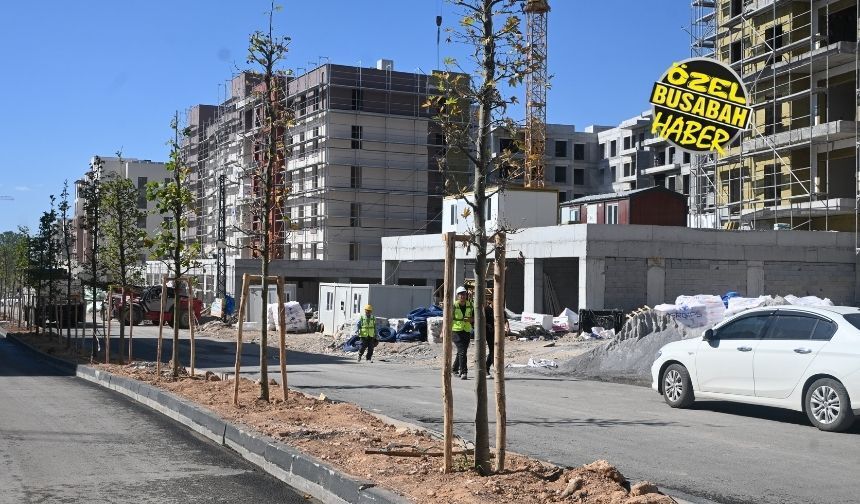 Fuzuli Caddesi’nde ezber bozan değişim! Eski halinden eser yok