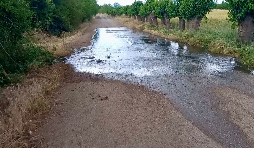 Malatya’da tarım felaketi: Sofralarımıza akan tehlikeyi neden kimse durdurmuyor?