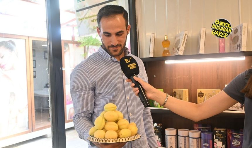 Malatya'dan Avrupa'ya lezzet köprüsü: Almanya ve Belçika yaş kayısı bekliyor!