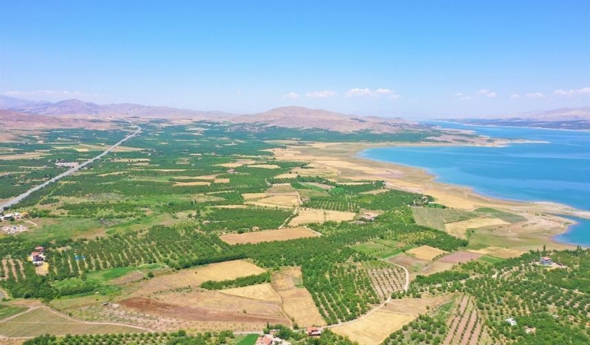 10 milyon kayısı ağacının başkentinde büyük ilan: Sadece festival değil, Malatya eski günlerine dönüyor!