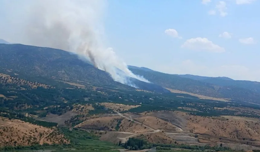 38 araç, 1 helikopter müdahale etti! Pütürge’de ciğerlerimiz yandı
