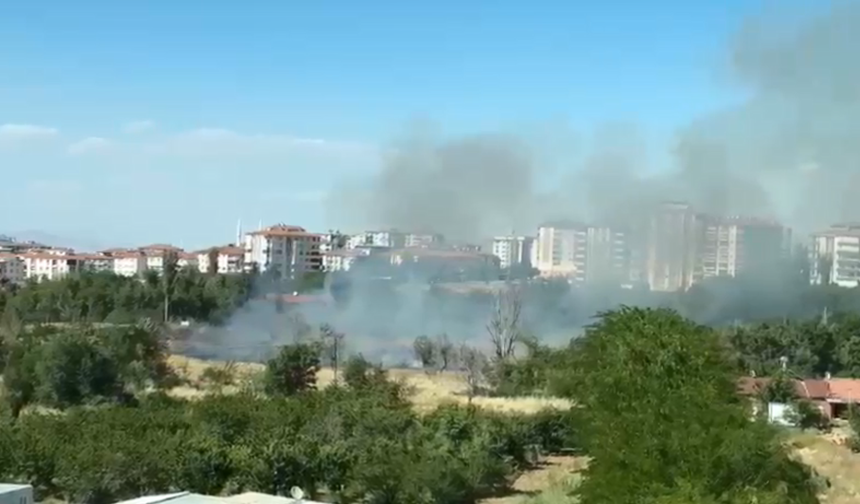 Tecde fidanlık arkasında ne oldu? İtfaiye ekipleri seferber oldu!