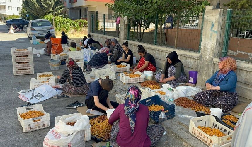 Geçen yıl zirai don, bu yıl ceza korkusu! Malatya’da ‘patik’ yapmak yasaklandı mı?