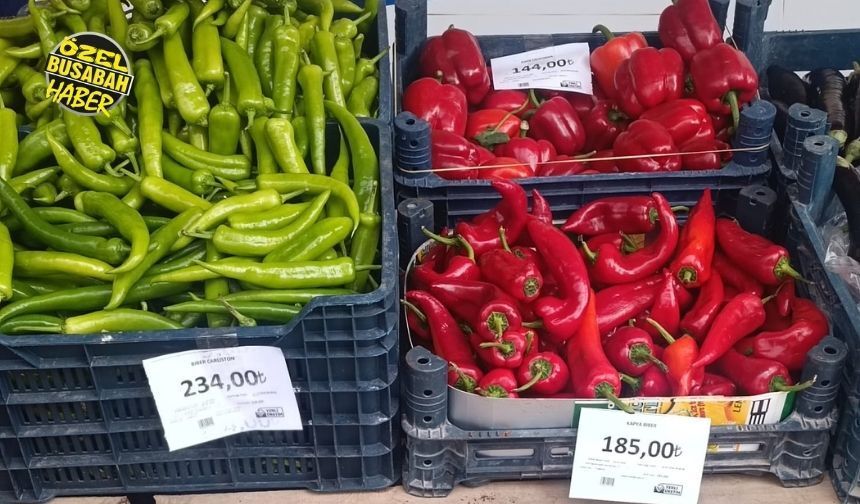 "Malatya emeklisi etin, meyvenin tadını unuttu"