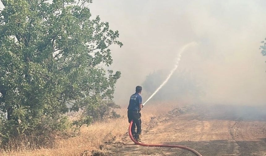 Malatya Pütürge’de aynı bölgede orman yangını yeniden çıktı!