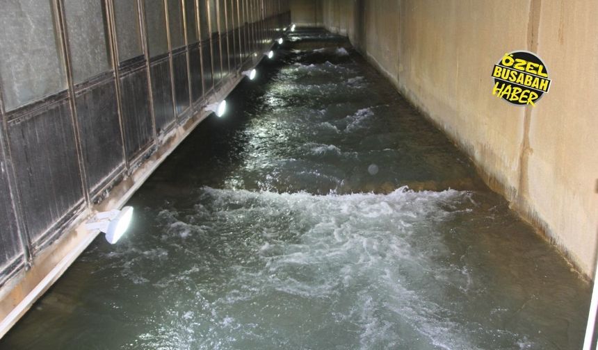 Malatya’da deprem sonrası şebeke suyu açıklaması: MASKİ müdürü son durumu paylaştı!