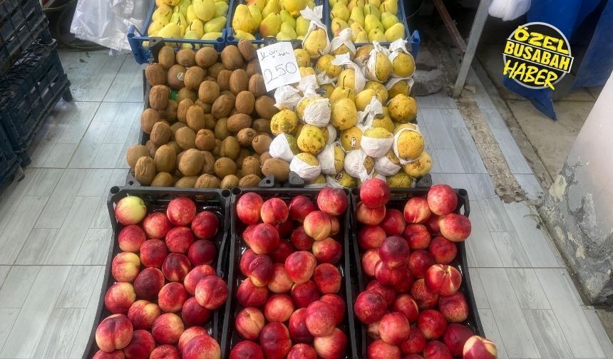 Malatya’da meyve fiyatları çıldırdı! Halde 70 TL olan manavda kaç para?
