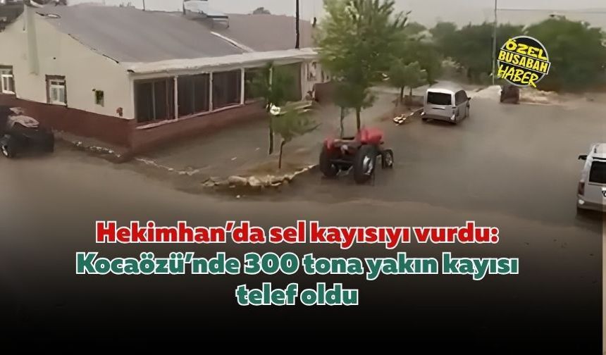 Hekimhan’da sel kayısıyı vurdu: Kocaözü’nde 300 tona yakın kayısı telef oldu