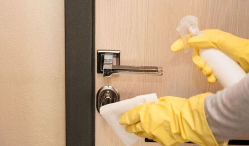 Kapı önüne sirke sıkma modasına uzmanlardan uyarı: Böceklere karşı kalıcı değil