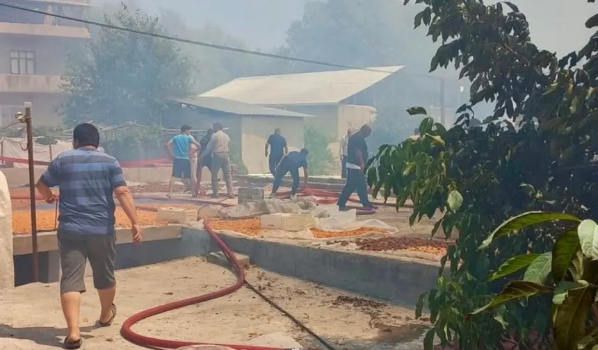 Malatya Darende’de yangın evlere sıçradı! Hava desteği seferber edildi
