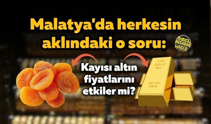 Malatya'da herkesin aklındaki o soru: Kayısı altın fiyatlarını etkiler mi?