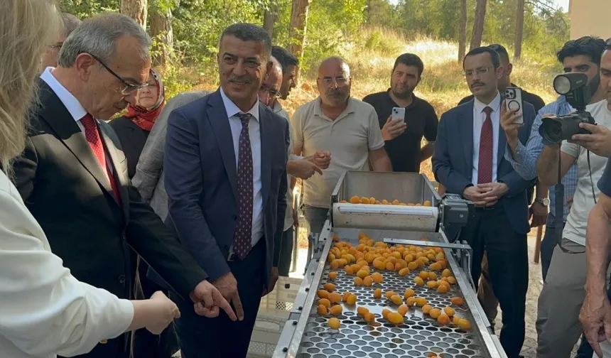Malatya’da Kayısı Çekirdeği Çıkarma Makinesi geliştirildi! 16 kişinin işini yapıyor