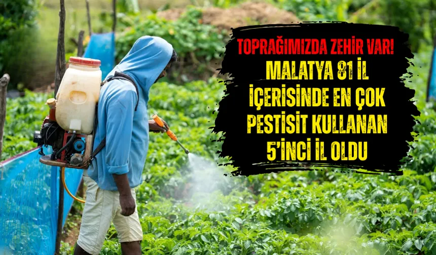 Toprağımızda zehir var! Malatya 81 il içerisinde en çok pestisit kullanan 5’inci il oldu