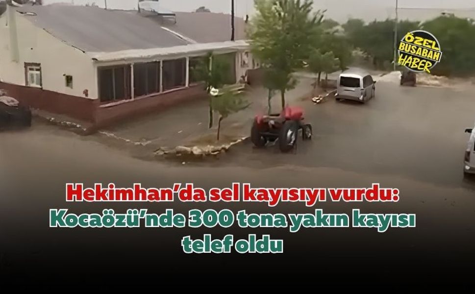 Hekimhan’da sel kayısıyı vurdu: Kocaözü’nde 300 tona yakın kayısı telef oldu