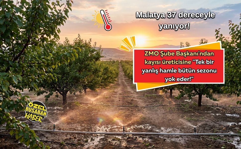 Malatya 37 dereceyle yanıyor! ZMO Şube Başkanı'ndan kayısı üreticisine: "Tek bir yanlış hamle bütün sezonu yok eder!"