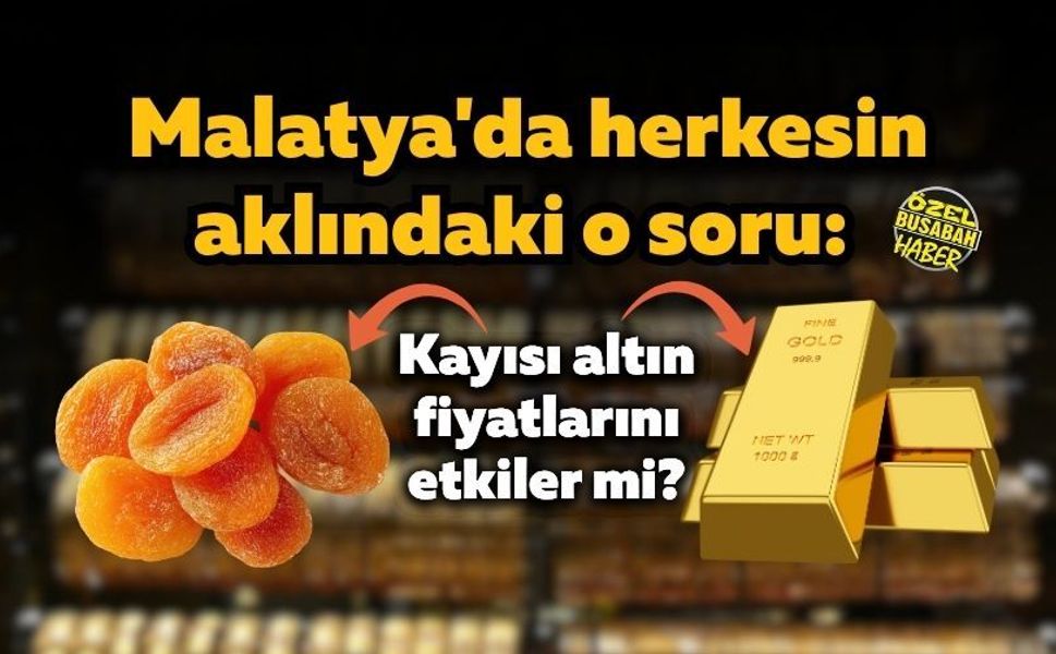 Malatya'da herkesin aklındaki o soru: Kayısı altın fiyatlarını etkiler mi?