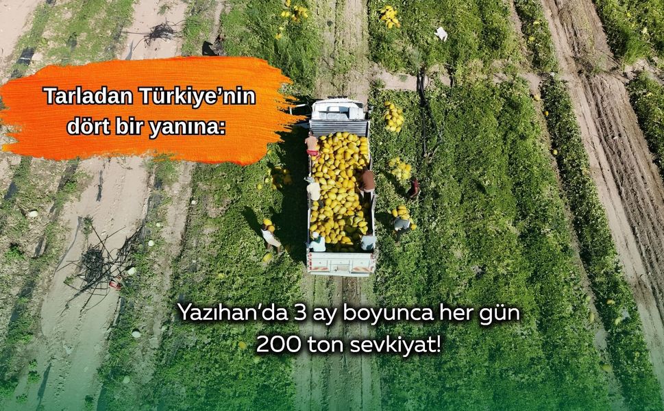 Tarladan Türkiye’nin dört bir yanına: Yazıhan’da 3 ay boyunca her gün 200 ton sevkiyat!